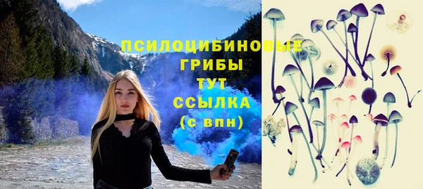 спайс Лабытнанги