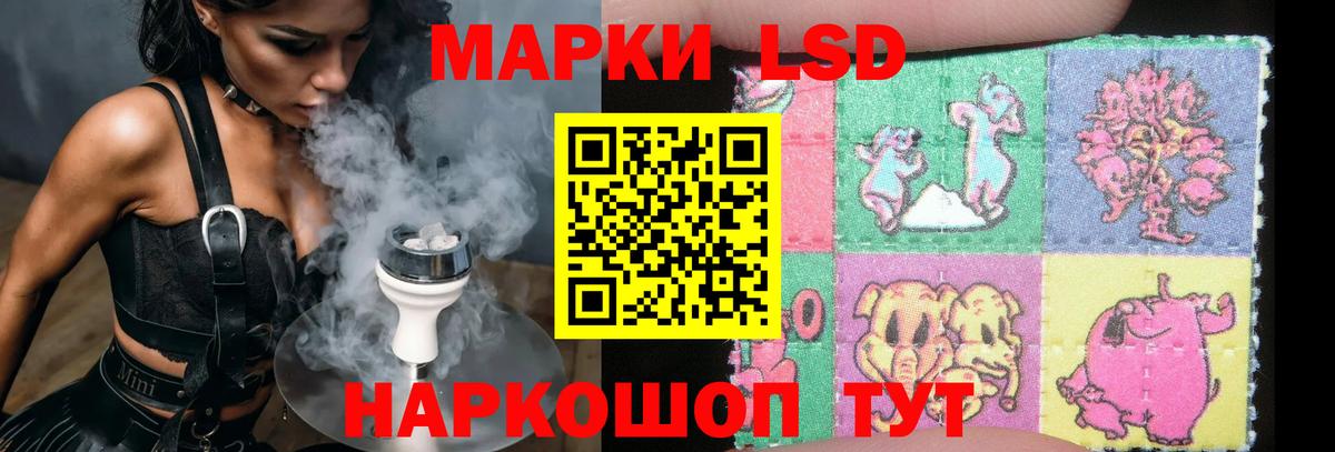 блэк спрут как зайти  Лсд 25 экстази кислота  ЛСД экстази кислота  Вход с VPN  Нарьян-Мар 