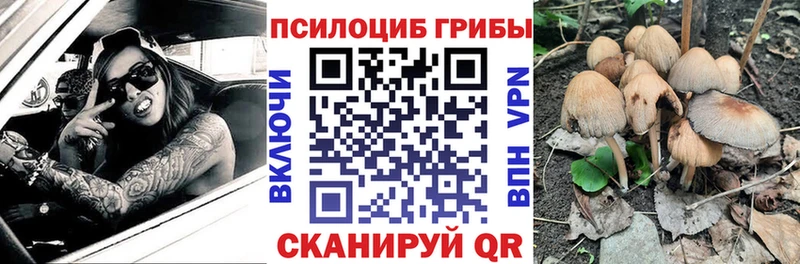 МЕГА как войти  где продают   Нарьян-Мар  Галлюциногенные грибы ЛСД 